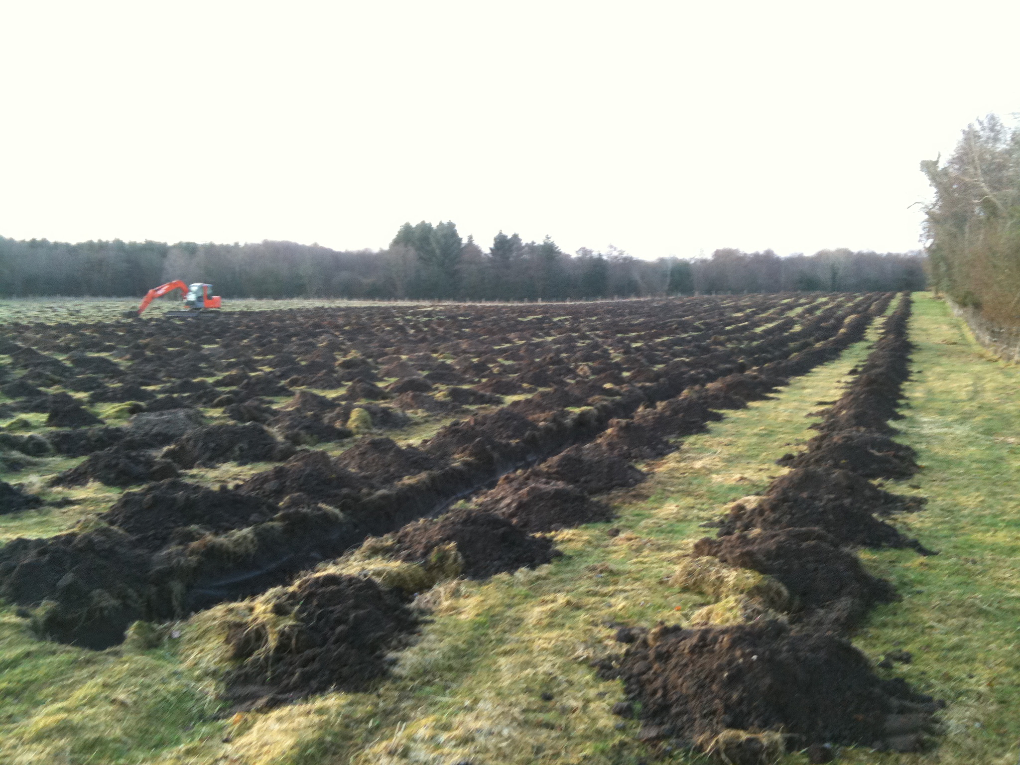 Bradley's Farm New Forest 2014